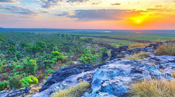 Królestwo mokradeł