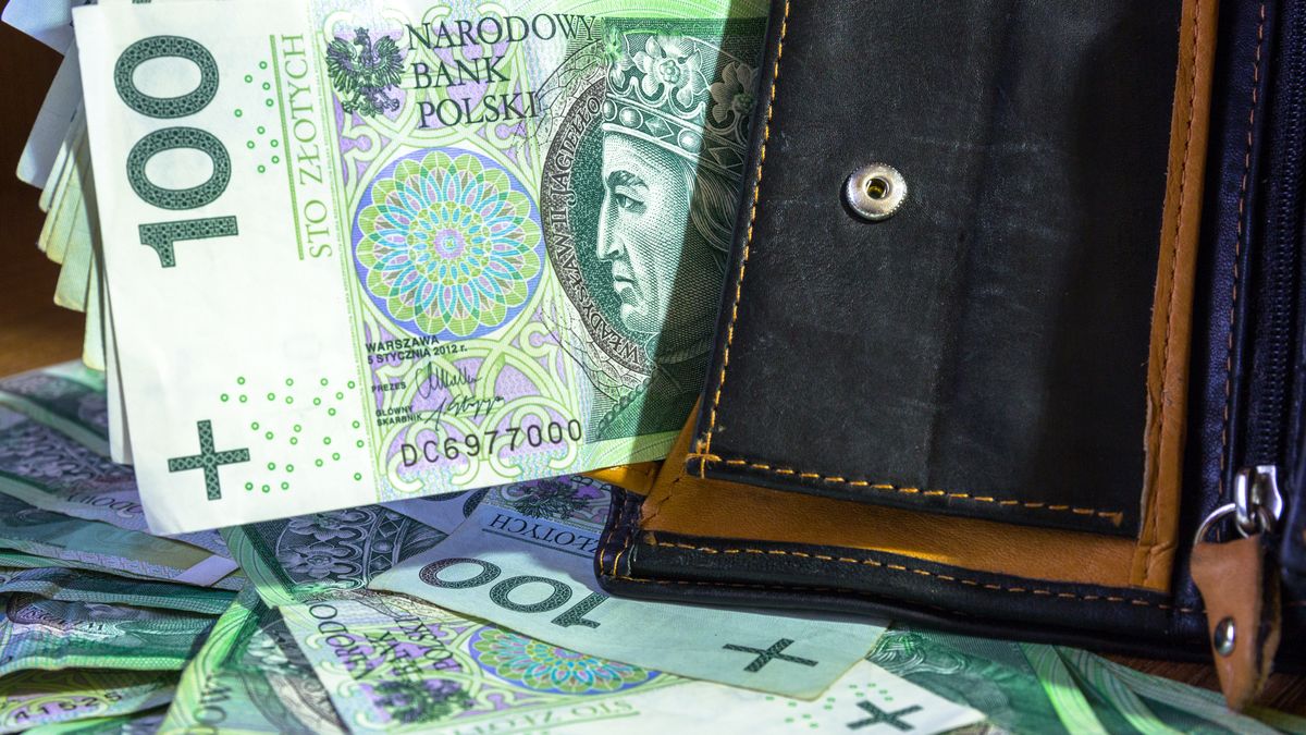 money, polish, zloty, rich, white, currency, background, bill, b