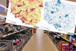 Wolisz robić zakupy w Biedronce czy w Lidlu? Mapa pokazuje, kto rządzi w polskim handlu