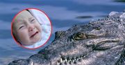 Puścili krokodylom dźwięk płaczu dziecka. Niesamowite, co zrobiły