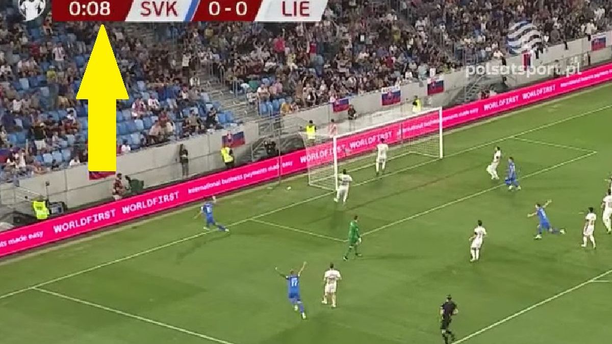 Polsat Sport / Gol reprezentacji Słowenii