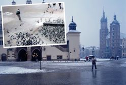 Kraków. Kurier odpowie za rozjechanie gołębi na Rynku Głównym