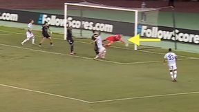 Kapitalna parada Polaka. "Na wagę milionów". Zagra w LM