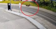 Groźny wypadek w Pszowie. Motocyklistka trafiła do szpitala WIDEO