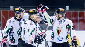 Hokej: GKS Tychy - Polonia Bytom na żywo. Transmisja TV, stream online