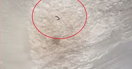 Ludzka ręka, która wciąż machała. Szokujące wideo z akcji ratunkowej