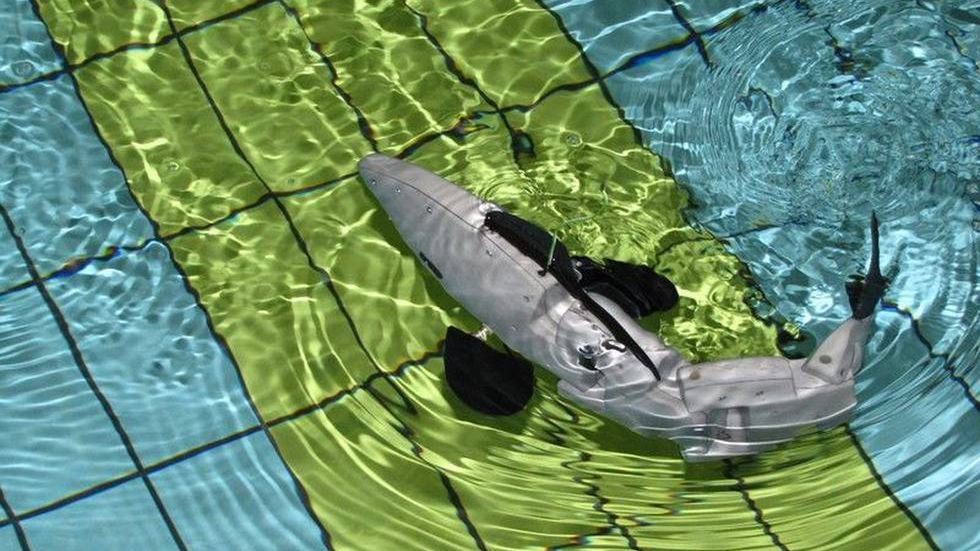 Cyber-oko, roboty-antyterroryści, samochód jak z filmów SF. Nad czym pracują polscy wynalazcy? 1