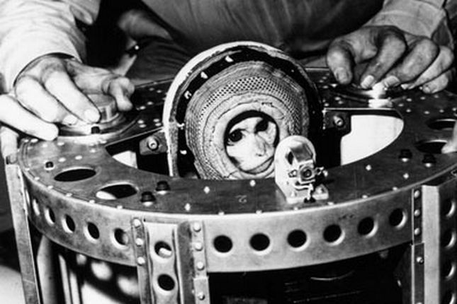 Projekt Albert: tragiczny los pierwszych astronautów. Zapomniani pasażerowie rakiet V2 4