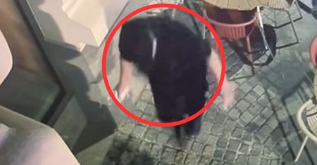 "Nie będzie kasy, będą konsekwencje". Szokujący finał sprawy ze Szczecina