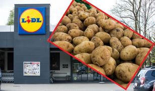 Szaleństwo w Lidlu. Ziemniaki na każdą okazję