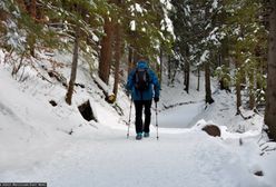 Zagubiony niedźwiadek na szlaku w Tatrach. "Strasznie się wydzierał"