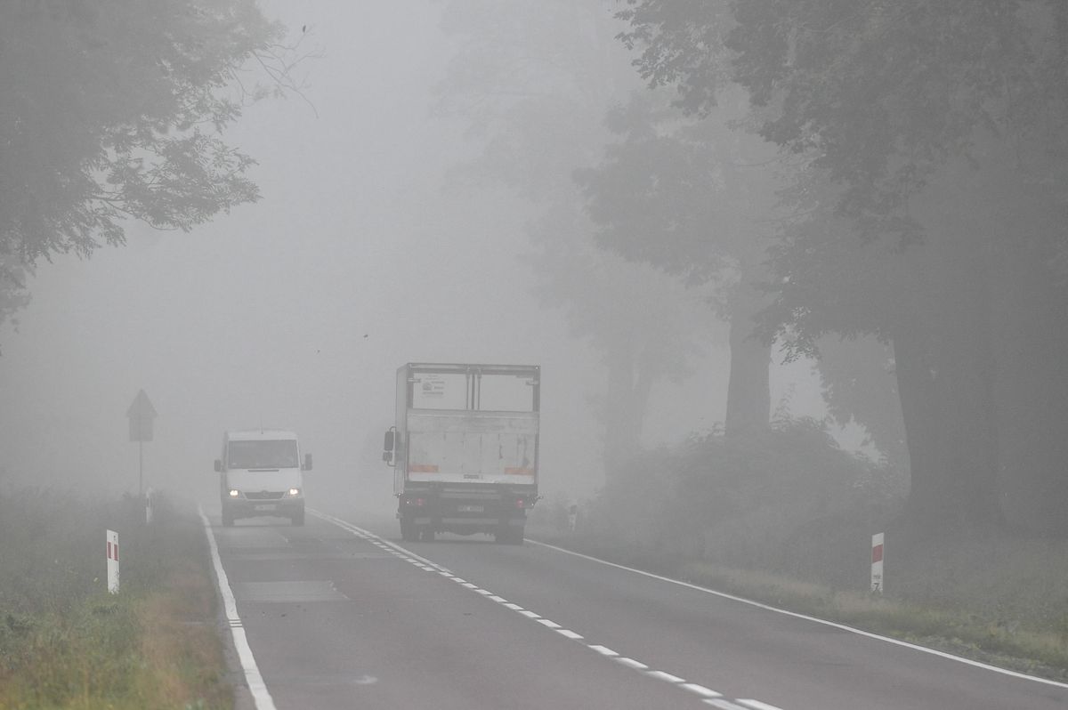 imgw, alert pogodowy, mgła Uwaga kierowcy Żółte alerty IMGW w części kraju