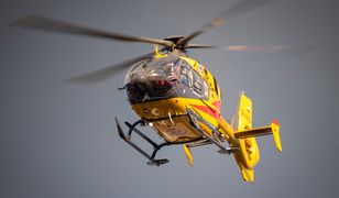 Wypadek w cyrku pod Warszawą. Akrobaci w szpitalu