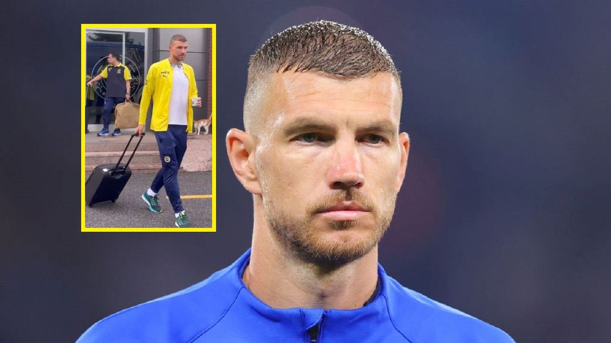 Edin Dzeko