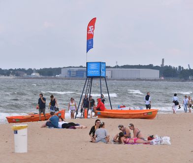 Sinice 2022. Fatalna sytuacja w Zatoce Gdańskiej. Popularne kąpieliska zamknięte. Aktualna mapa sinic [13.08.2022]