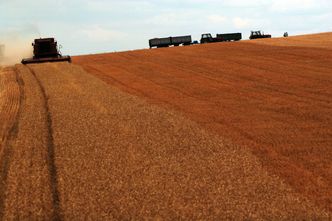 Kasa Rolniczego Ubezpieczenia Społecznego. Jak działa KRUS?