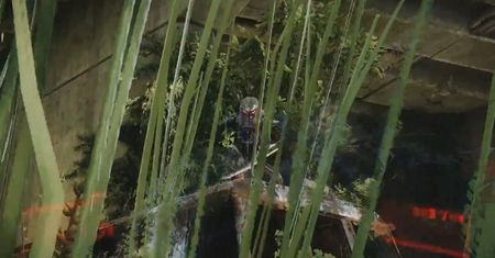 Crysis 3 - buszujący w trawie