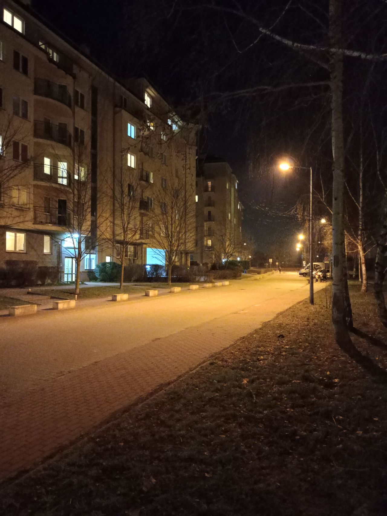 Tryb UltraNight (po prawej) wygładza zdjęcie i czyni je atrakcyjnym w odbiorze, ale ze względu na długi czas ekspozycji przy niewielkim sensorze, wprowadza nienaturalną kolorystykę. Zdjęcie zwykłe (po lewej) ze względu na zaszumienie wyda się gorsze, ale w praktyce jest nie mniej szczegółowe i bliższe rzeczywistości
