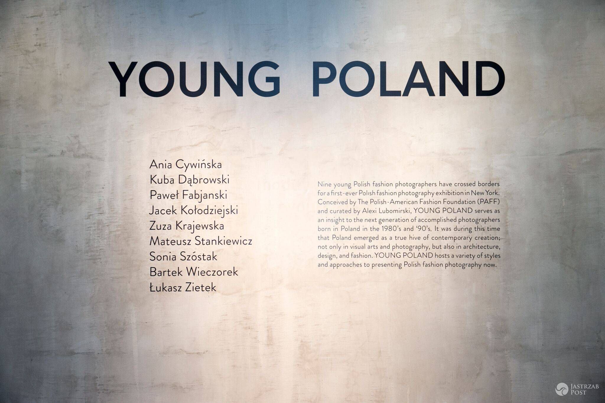 young poland, nowy jork 2017, foto: Iwona Kaplan