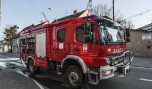 Trzy pożary w kilka dni. Wyznaczyli nagrodę za złapanie podpalacza