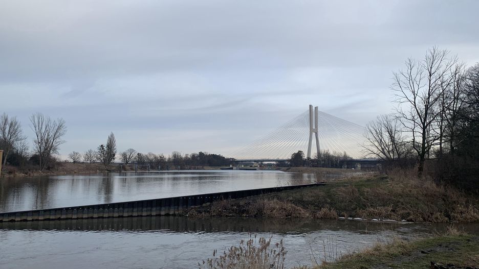 Pogoda. Wrocław. 12 marca - ciepło, ale i mokro. O nadejściu wiosny można pomarzyć