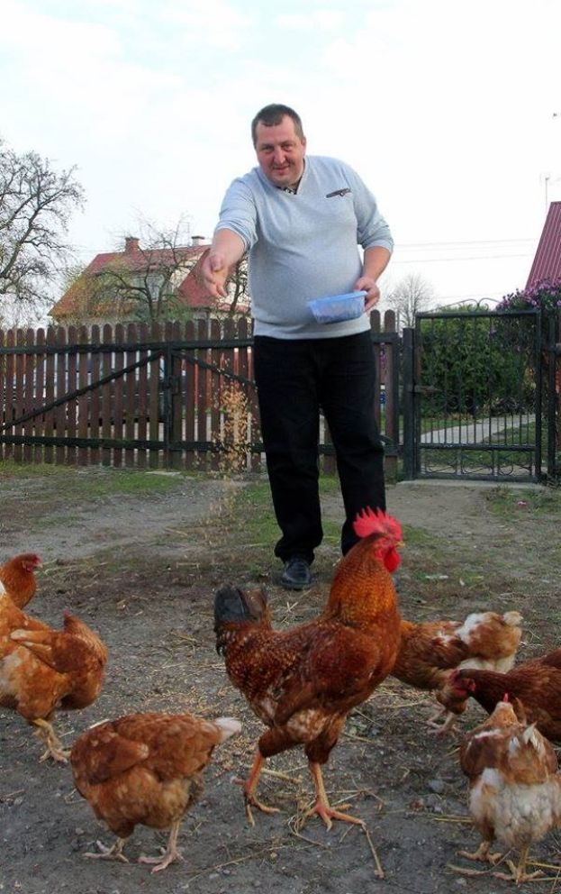 Obraz