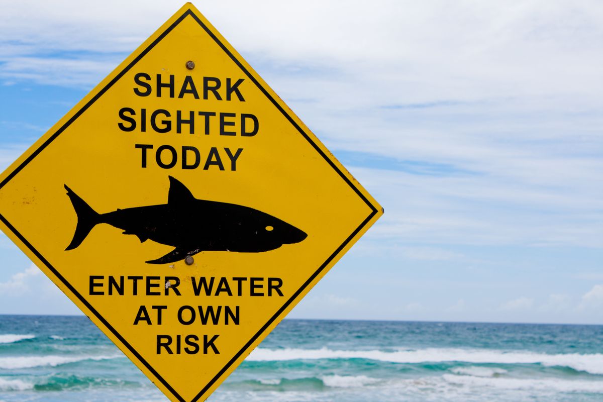 Znak ostrzegający przed rekinami (zdjęcie ilustracyjne) 