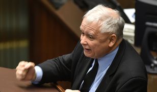 Grzegorz Wysocki: „Bez żadnego trybu”, bez żadnych granic. Przemoc słowna zamiast krytyki