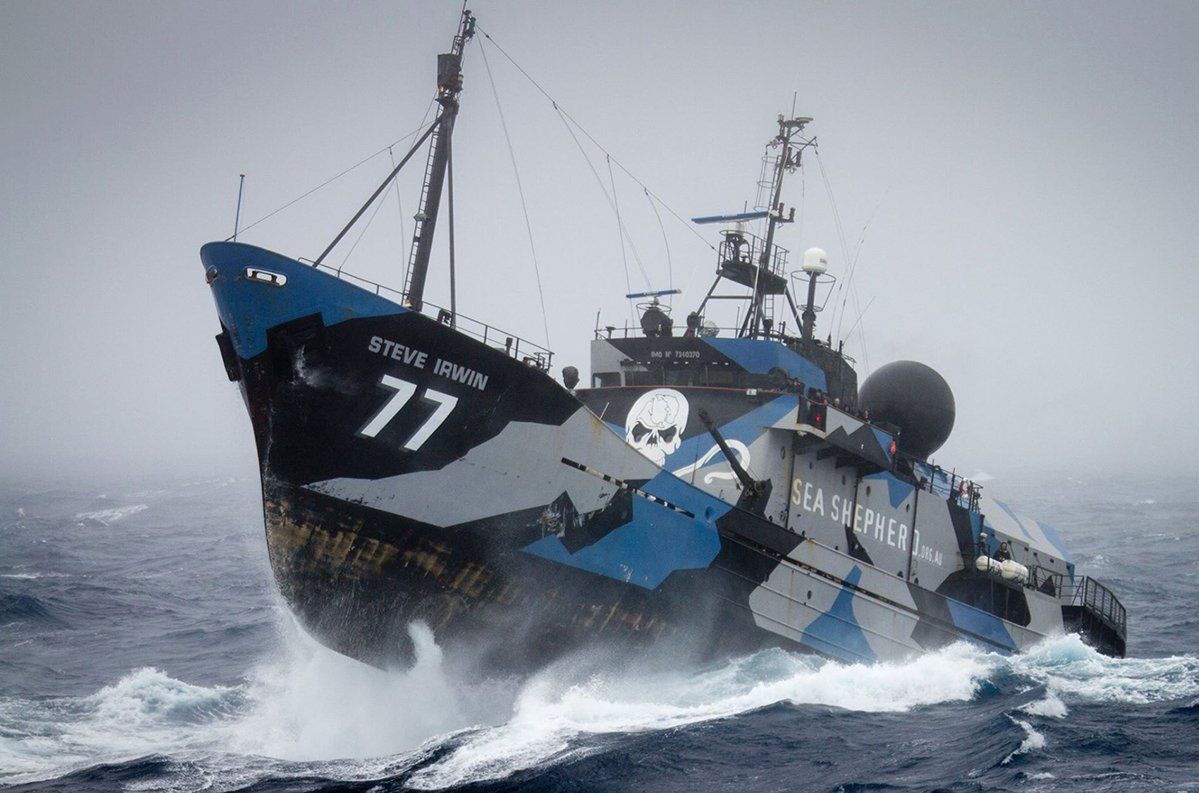 Sea Shepherd: ekologiczny zamordyzm. Koniec proszenia, czas na walkę