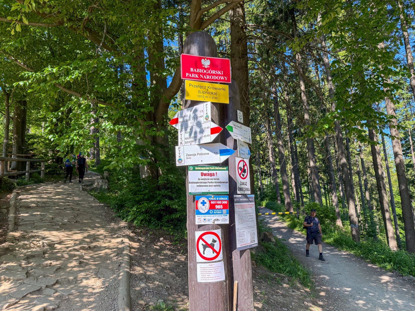 Babiogórski Park Narodowy