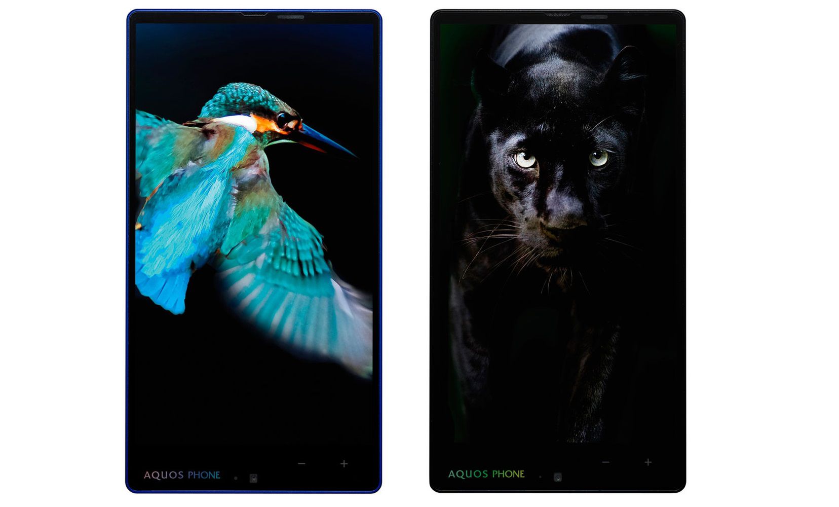 Drogi Sharpie, zapraszam twoje najnowsze dziecko do Polski 2