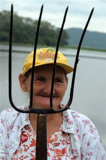 Obraz