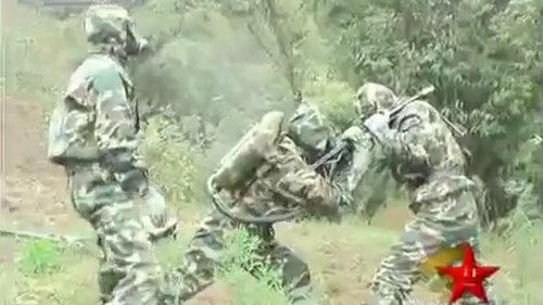 Jak chińska armia walczy z zabójczymi osami? [wideo] 1