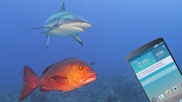 LG G3 jednak jest odporny na wodę? 1