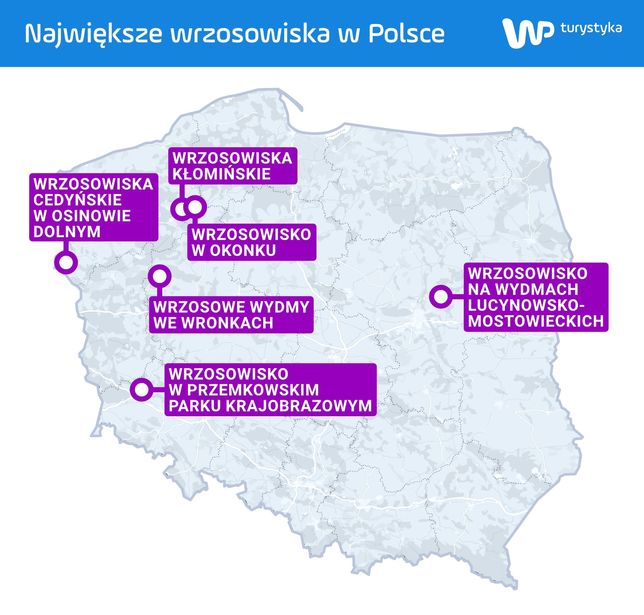 Największe wrzosowiska w Polsce