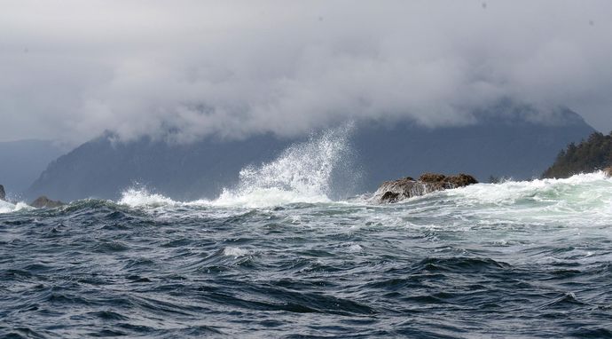 Wyspy. Laboratoria natury