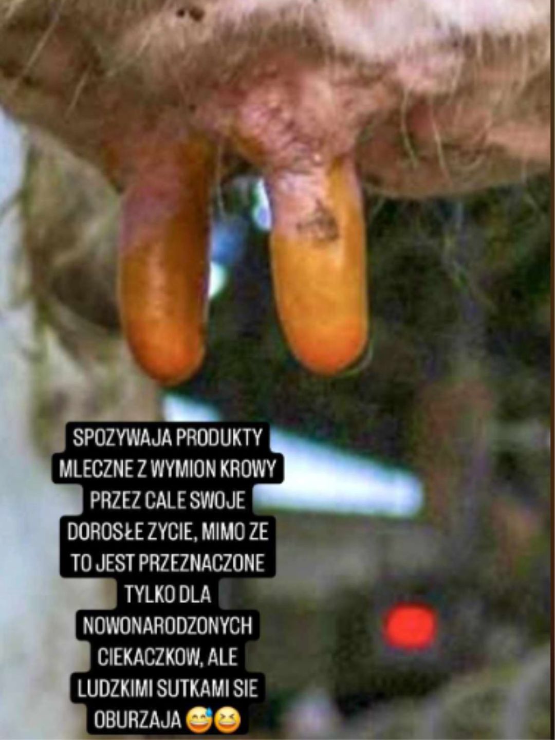Odpowiedź Anety Glam