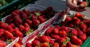Tak oszukują przy sprzedaży truskawek. Nie daj się nabrać