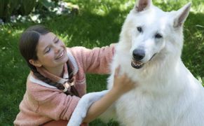 TVP 1 O psie, który jeździł koleją