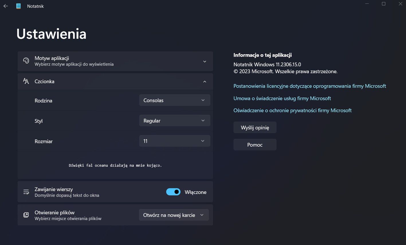 Ustawienia w Notatniku w Windows 11