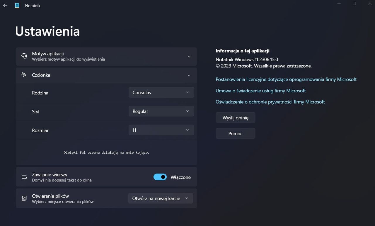 Ustawienia w Notatniku w Windows 11