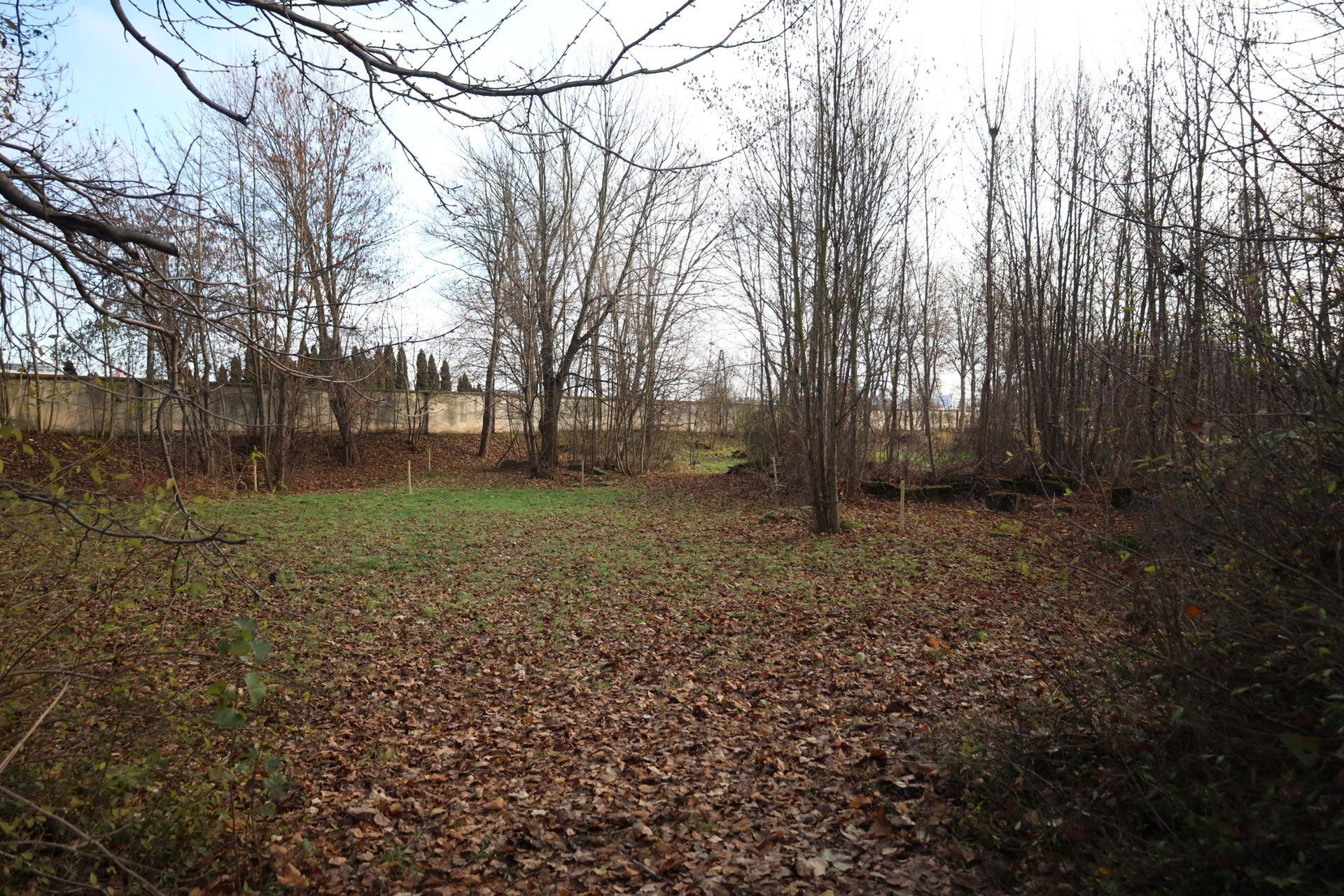 Cmentarz Żydowski w Rzeszowie