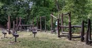 W Lesie Witkowickim można stanąć oko w oko z dziką przyrodą i piknikować przy ognisku