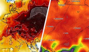 Rekordy ciepła w Polsce. Definitywny koniec zimy?
