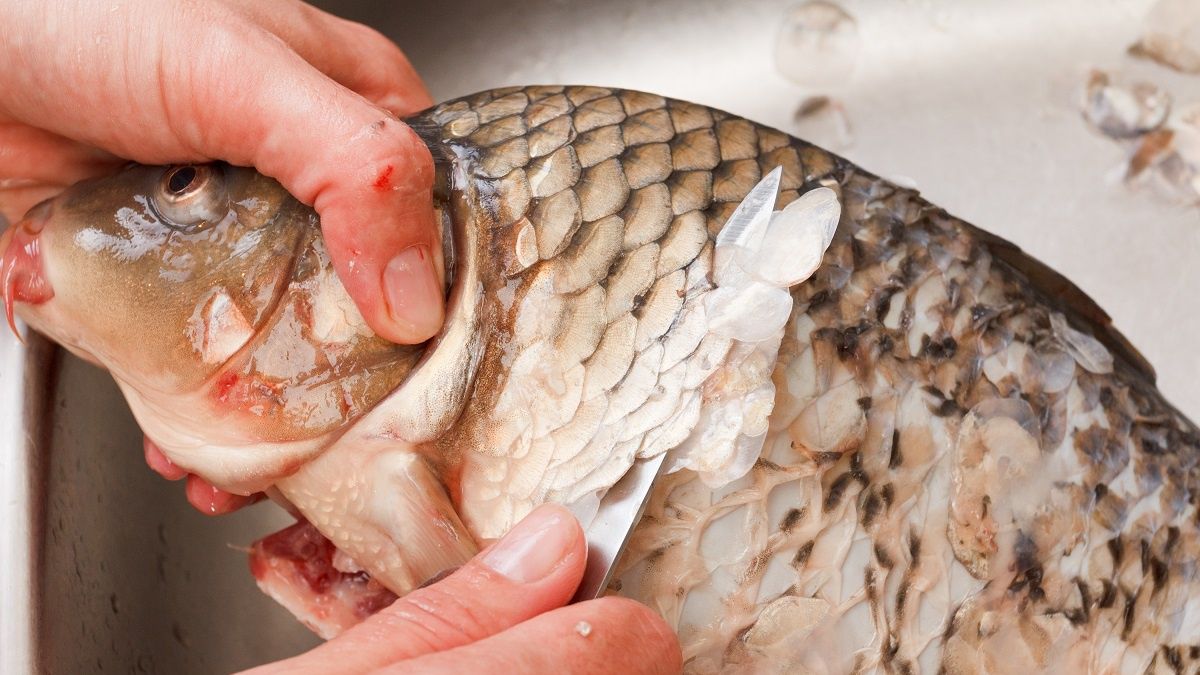 Tak szybko pozbędziesz się łusek z karpia