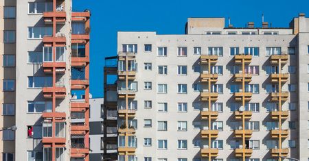 Opróżniają mieszkania bogatych ludzi. "Dziwi mnie, czego się pozbywają