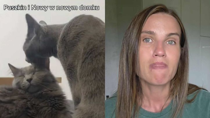 Karolina Gilon musiała oddać koty