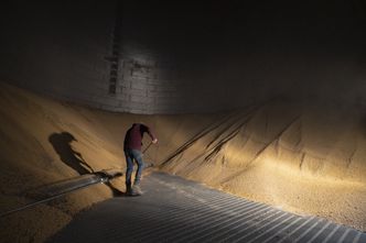 Zbożowe porozumienie z Ukrainą. Komisja Europejska aprobuje