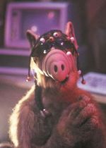 "Alf": Kultowy serial powraca