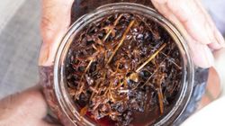 To jedno z najzdrowszych ziół. Może hamować rozwój komórek rakowych